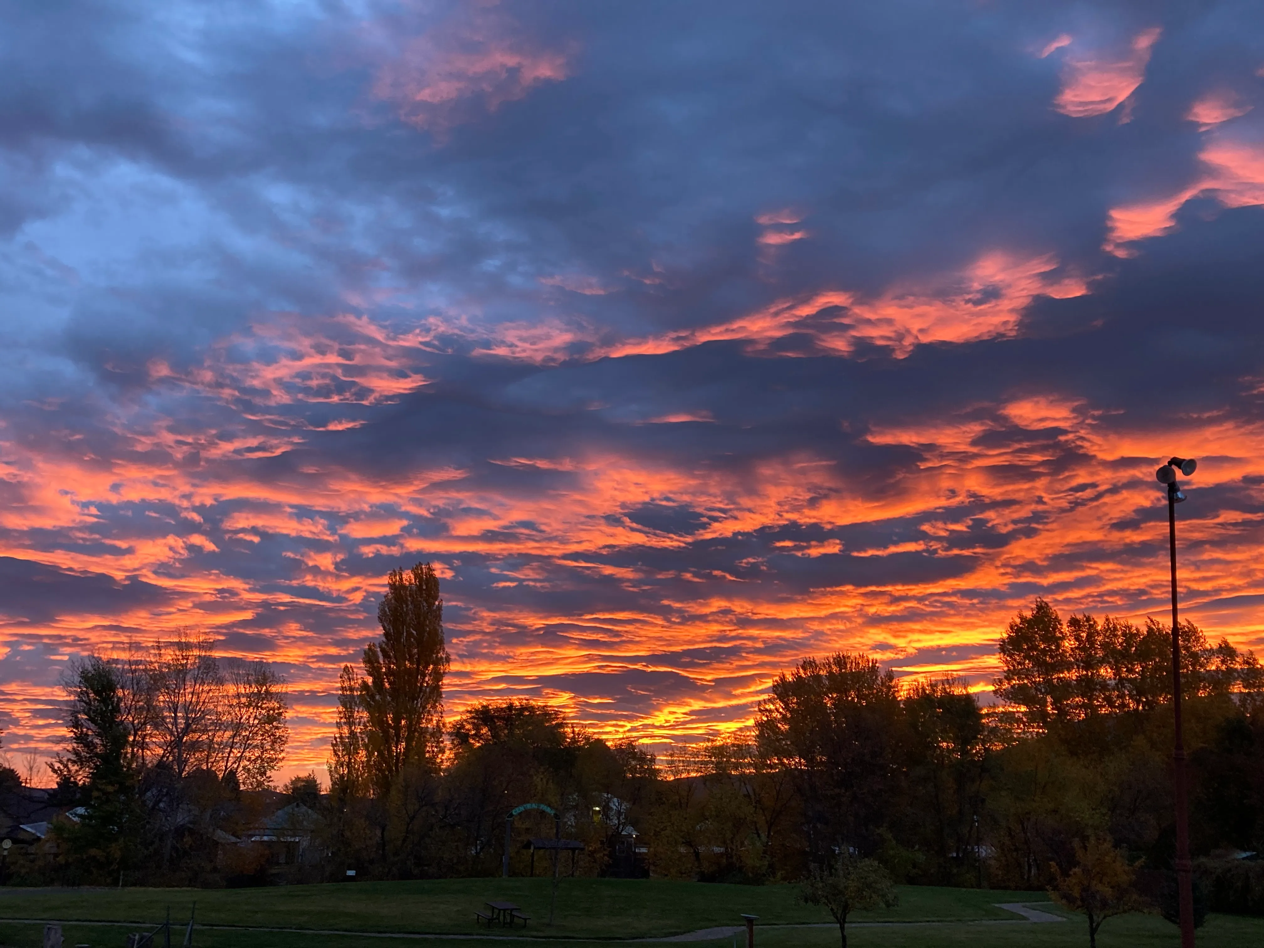 Park backdrop — from the property